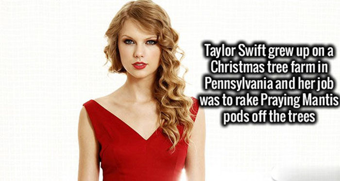 Impress Your Friends And Family With These Interesting Facts (30 pics)