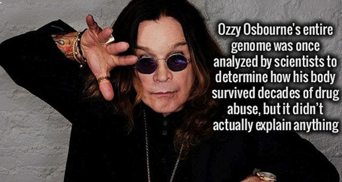 Impress Your Friends And Family With These Interesting Facts (30 pics)