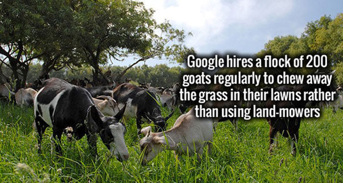 Impress Your Friends And Family With These Interesting Facts (30 pics)