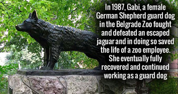 Impress Your Friends And Family With These Interesting Facts (30 pics)