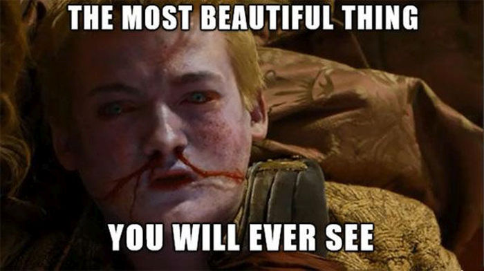 The Greatest Game of Thrones Memes The Internet Has To Offer (29 pics)