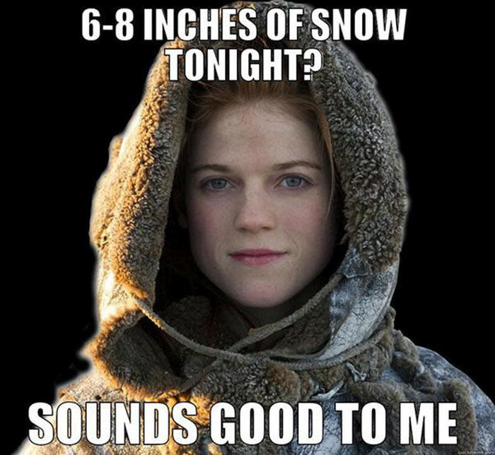 The Greatest Game of Thrones Memes The Internet Has To Offer (29 pics)