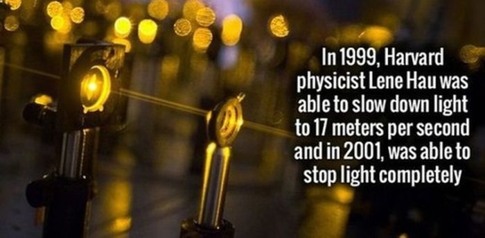 Fun Facts That Will Quench Your Thirst For Knowledge (19 pics)