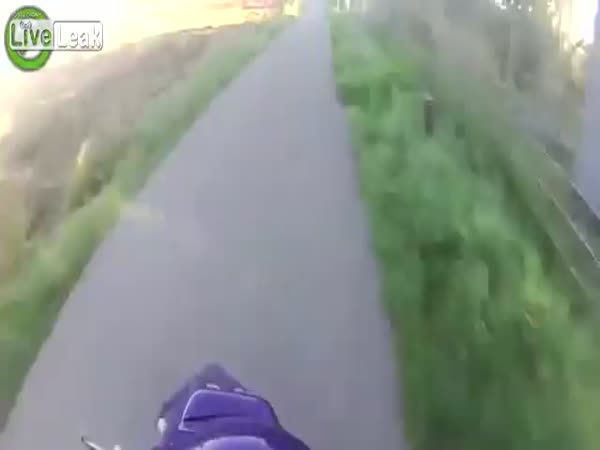 Crazy Scooter Chase