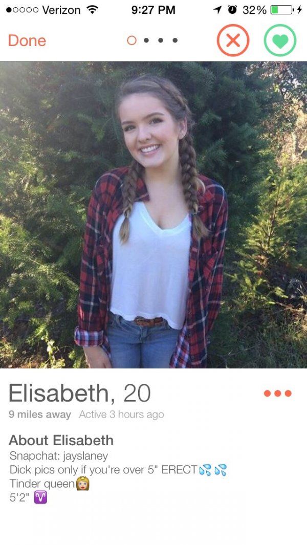 Girls With Tinder Bios That Are Too Tempting To Resist 15 Pics