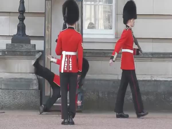 Buckingham Palace Guard Fall