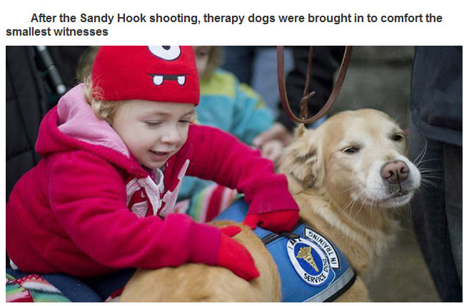 Therapy Dogs (29 pics)