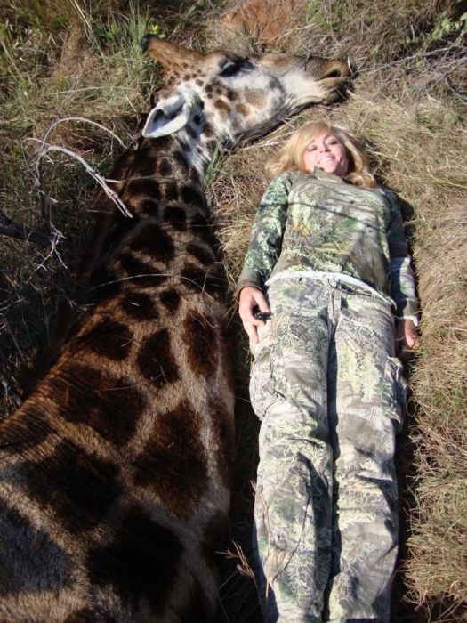 A Hunter Is Getting Death Threats After Taking A Photo A Dead Giraffe (14 pics)