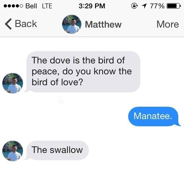 People Who Just Got Straight To The Point On Tinder (14 pics)