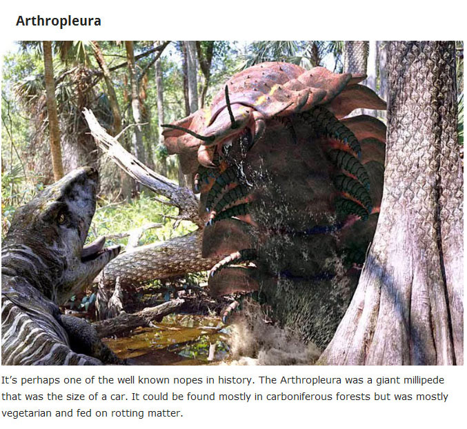10 Extinct Creatures That Will Haunt Your Dreams (10 pics)