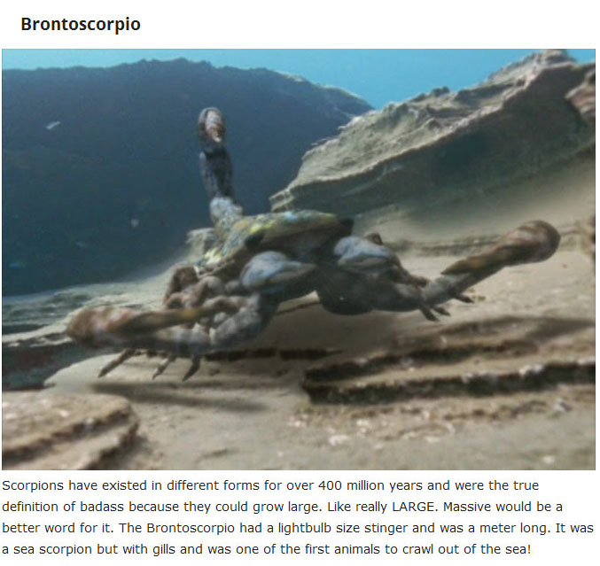 10 Extinct Creatures That Will Haunt Your Dreams (10 pics)