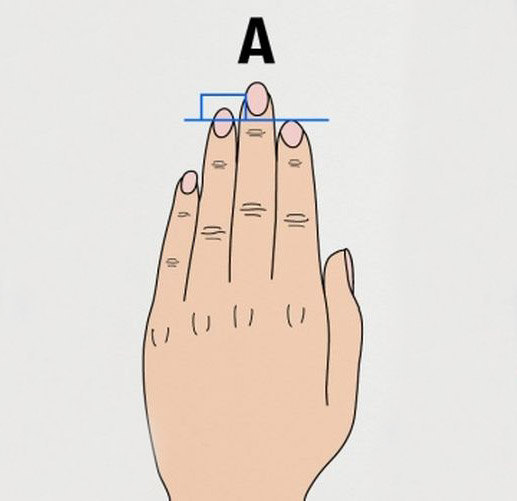 This Is What Your Finger Length Can Reveal About Your Personality (3 pics)