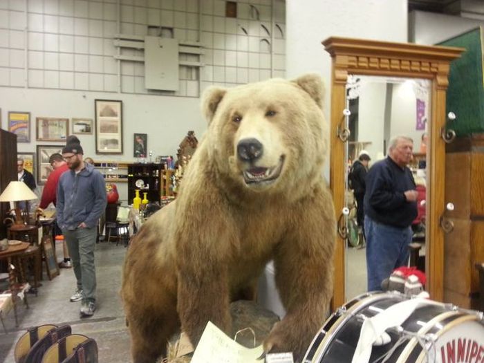Acid Picdump (94 pics)