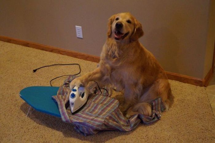 Acid Picdump (94 pics)