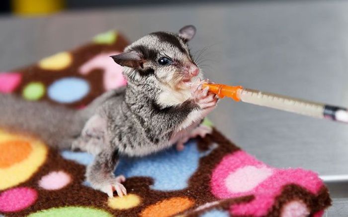 Acid Picdump (94 pics)