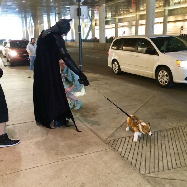 Acid Picdump (94 pics)