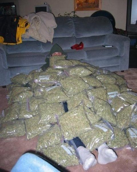 Acid Picdump (94 pics)
