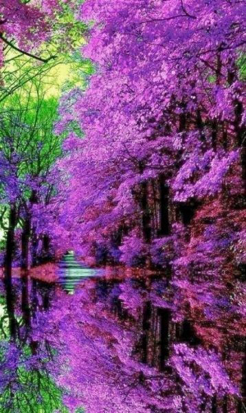 Acid Picdump (94 pics)