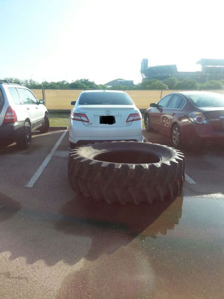 Acid Picdump (94 pics)