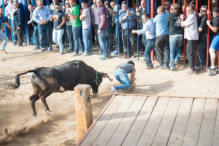 Man Gets Gored By A Bull On A Rampage (5 pics)