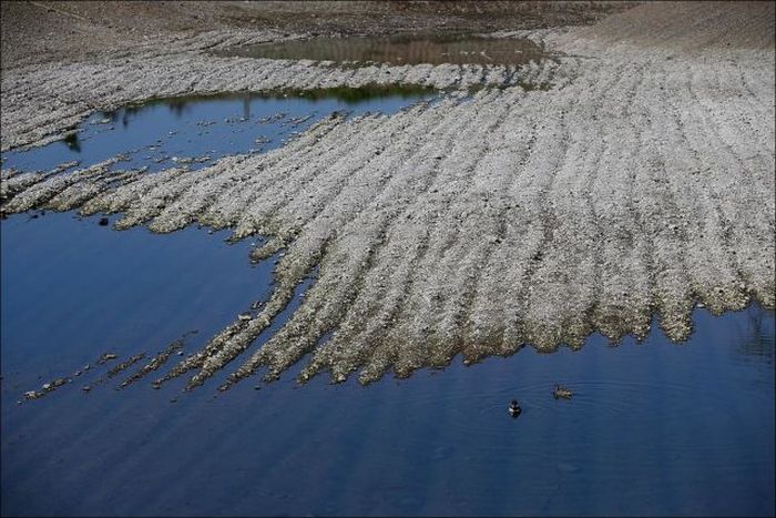 California Is Dealing With The Worst Drought In Years (26 pics)