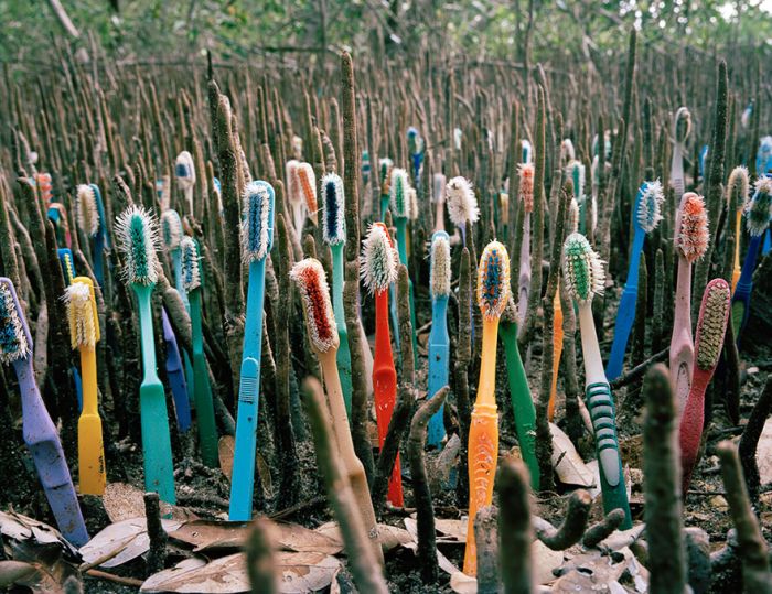 Man Takes Trash From The Shores Of Mexico And Turns It Into Art (10 pics)