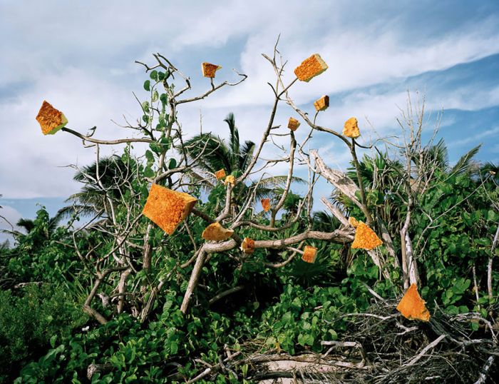 Man Takes Trash From The Shores Of Mexico And Turns It Into Art (10 pics)