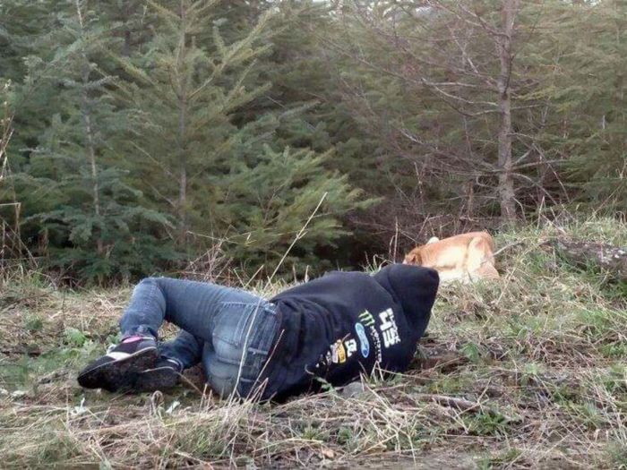 Woman Fakes An Injury To Get Close To A Terrified Dog (13 pics)