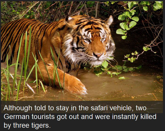 Outrageous Ways That Dumb People Have Met Death (9 pics)