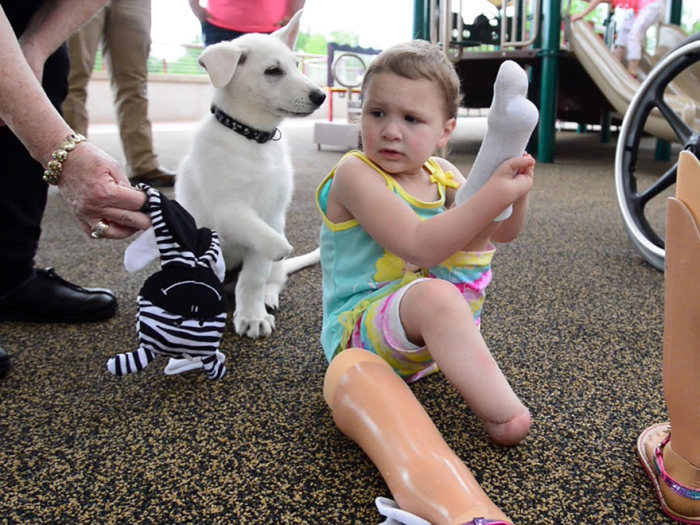 3 Year Old Girl With No Feet Gets A Puppy Without A Paw (8 pics)