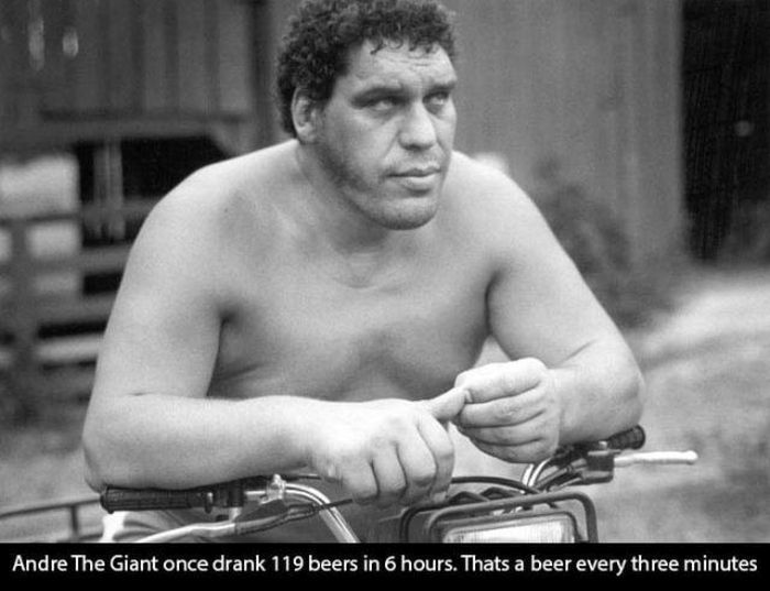 An Awesome Tribute To The Legendary Andre The Giant (18 pics)