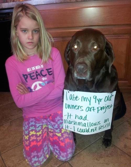 Kids Who Were Clever Enough To Outsmart Their Teachers (19 pics)