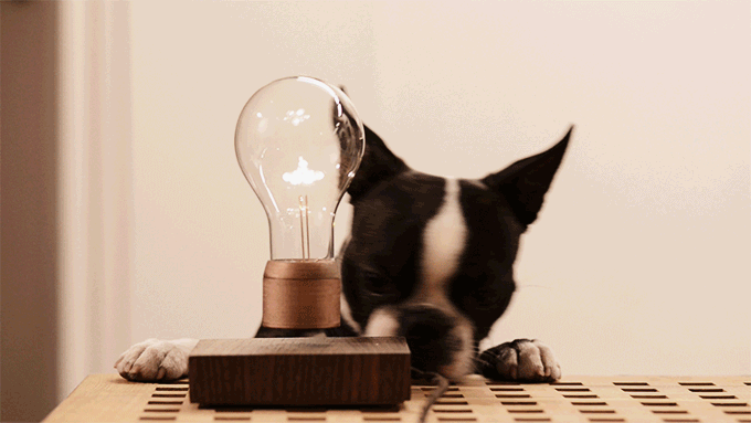 This Amazing Levitating Light Bulb Will Work Without Being Plugged In (6 pics)