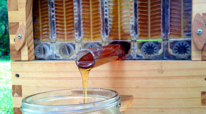 If You Want Honey On Tap This Is The Beehive For You (14 pics)