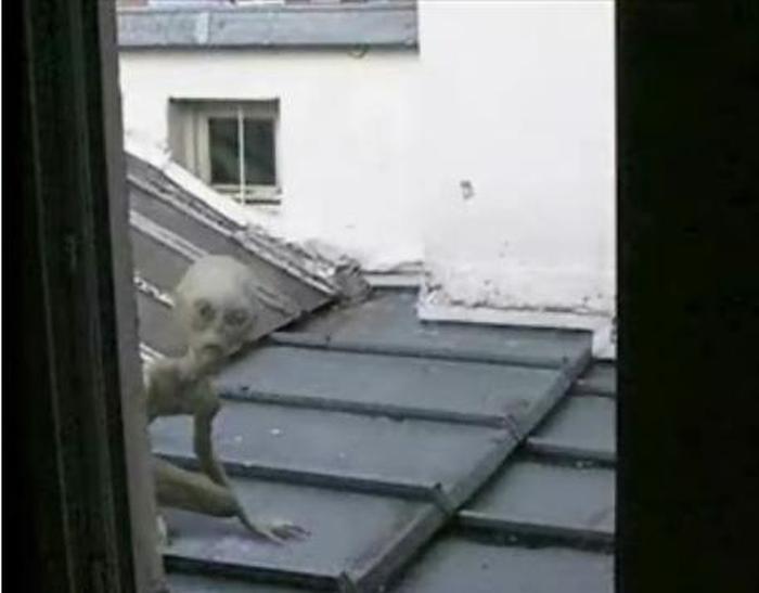 Are These Pictures Of Aliens Real Or Fake? (18 pics)
