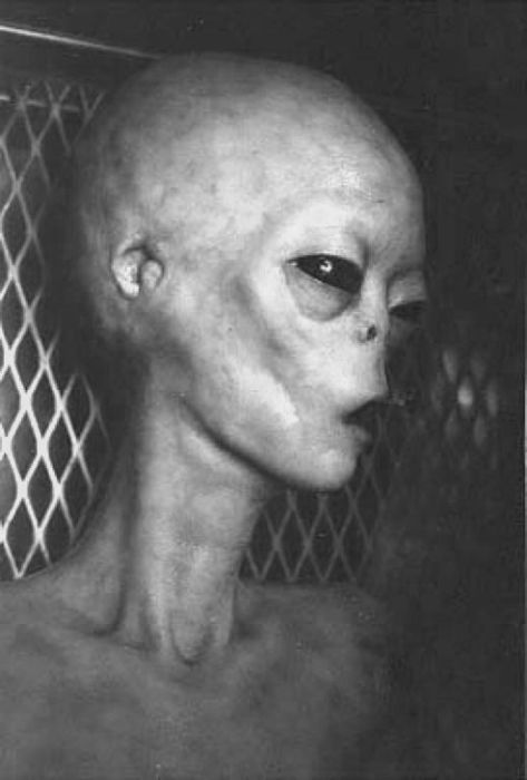 Are These Pictures Of Aliens Real Or Fake? (18 pics)