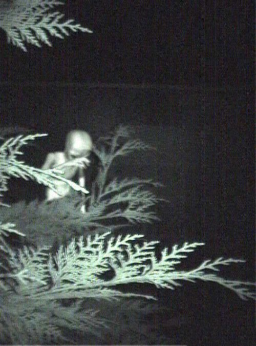 Are These Pictures Of Aliens Real Or Fake? (18 pics)