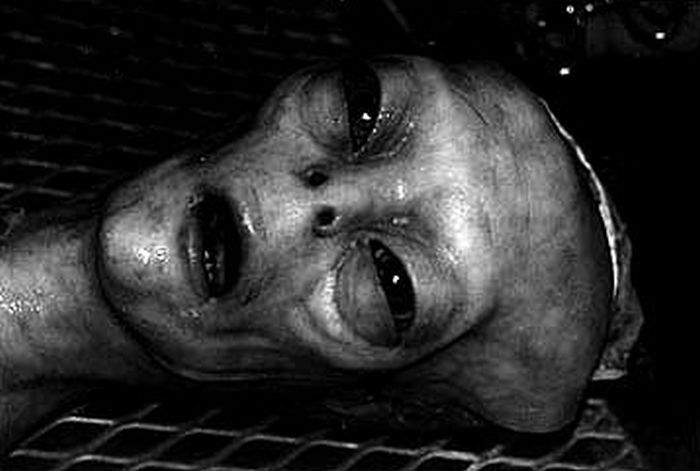 Are These Pictures Of Aliens Real Or Fake? (18 pics)