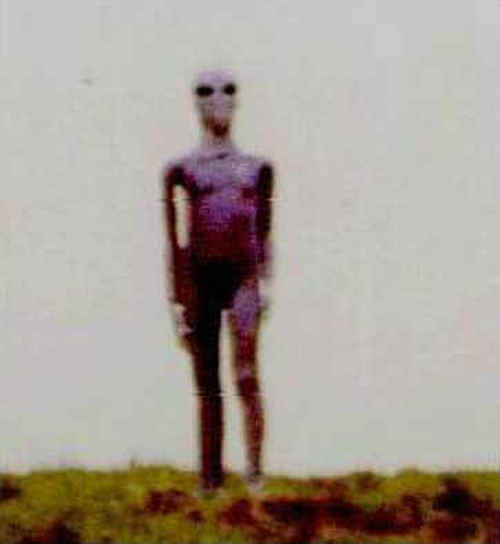 Are These Pictures Of Aliens Real Or Fake? (18 pics)