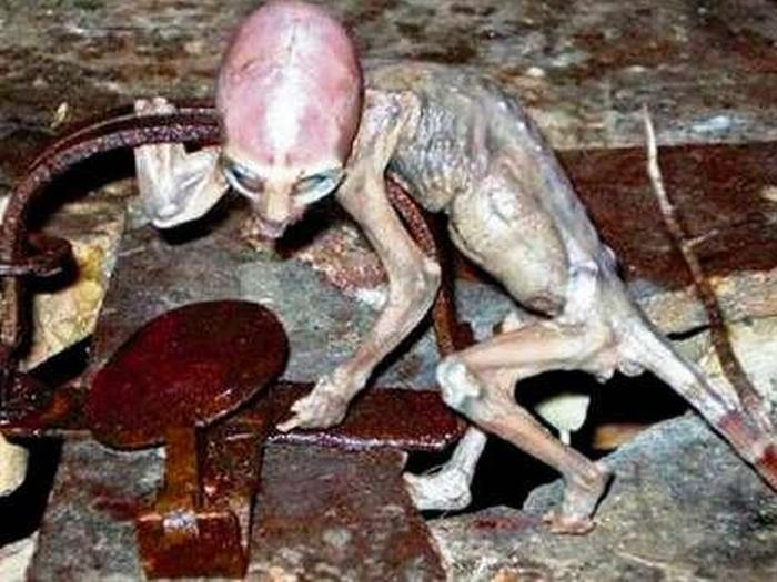 Are These Pictures Of Aliens Real Or Fake? (18 pics)