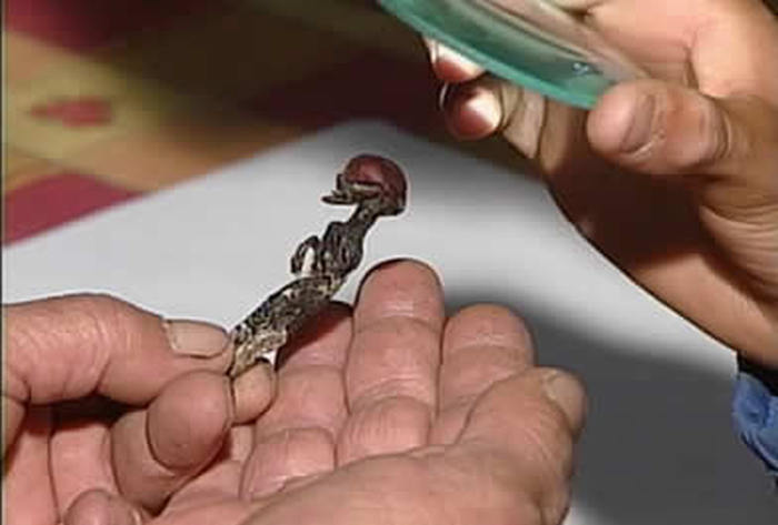 Are These Pictures Of Aliens Real Or Fake? (18 pics)