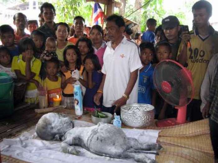 Are These Pictures Of Aliens Real Or Fake? (18 pics)