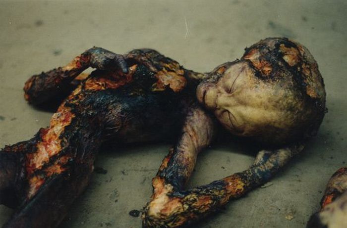 Are These Pictures Of Aliens Real Or Fake? (18 pics)