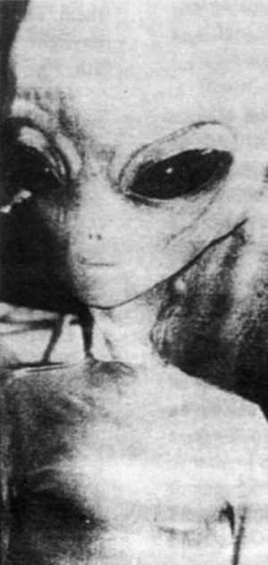 Are These Pictures Of Aliens Real Or Fake? (18 pics)
