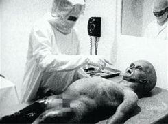 Are These Pictures Of Aliens Real Or Fake? (18 pics)