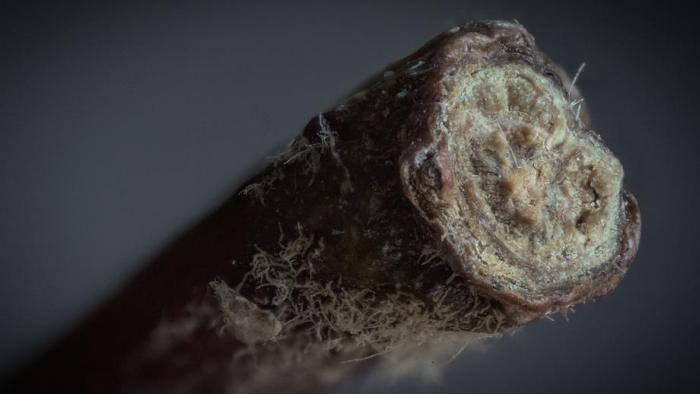 Extreme Close Ups Of Everyday Household Items (18 pics) Extreme Close Ups Of Everyday Household Items (18 pics)
