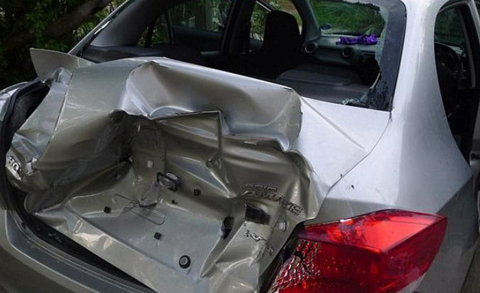 This Family's Car Got Crushed By Elephants (4 pics)