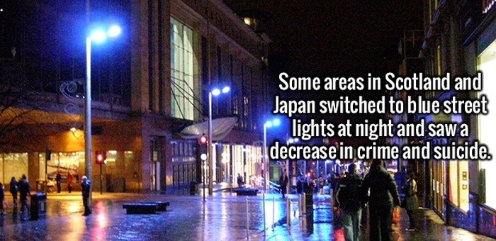 Give Your Brain The Gift Of Fun And Interesting Facts (20 pics)