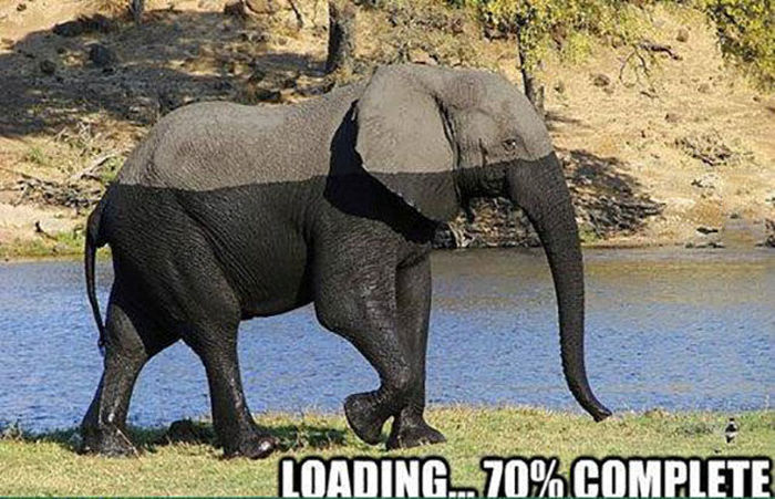 Acid Picdump (94 pics)