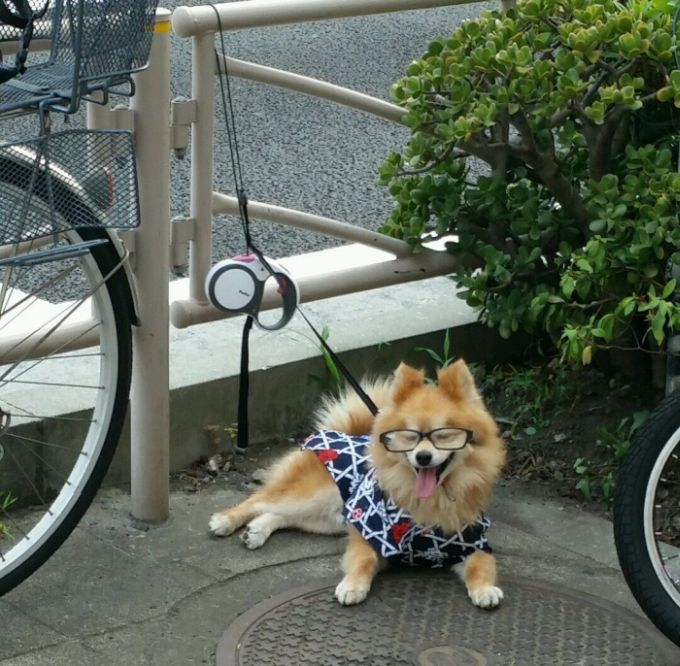 Acid Picdump (94 pics)